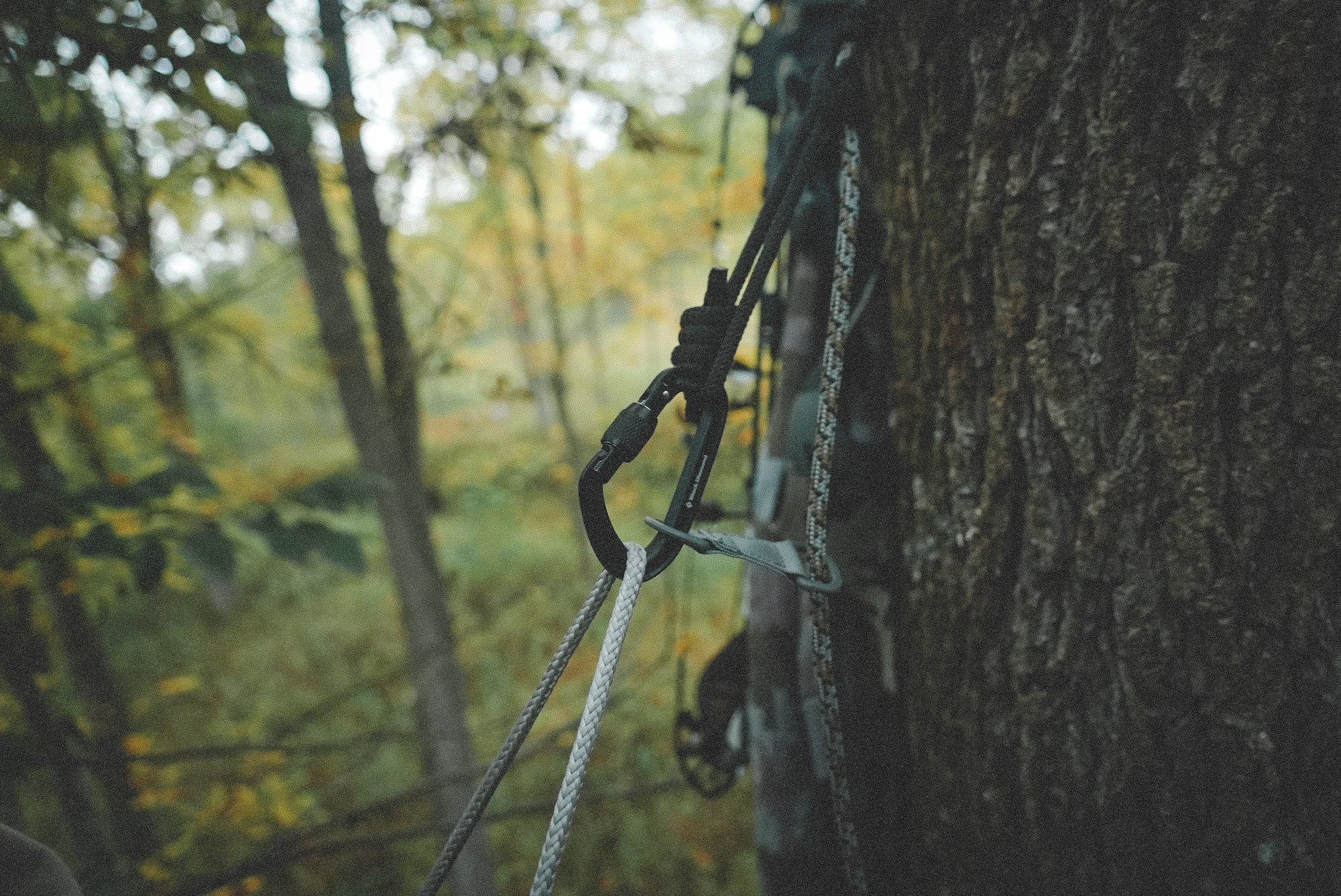 Saddle Hunting Ropes