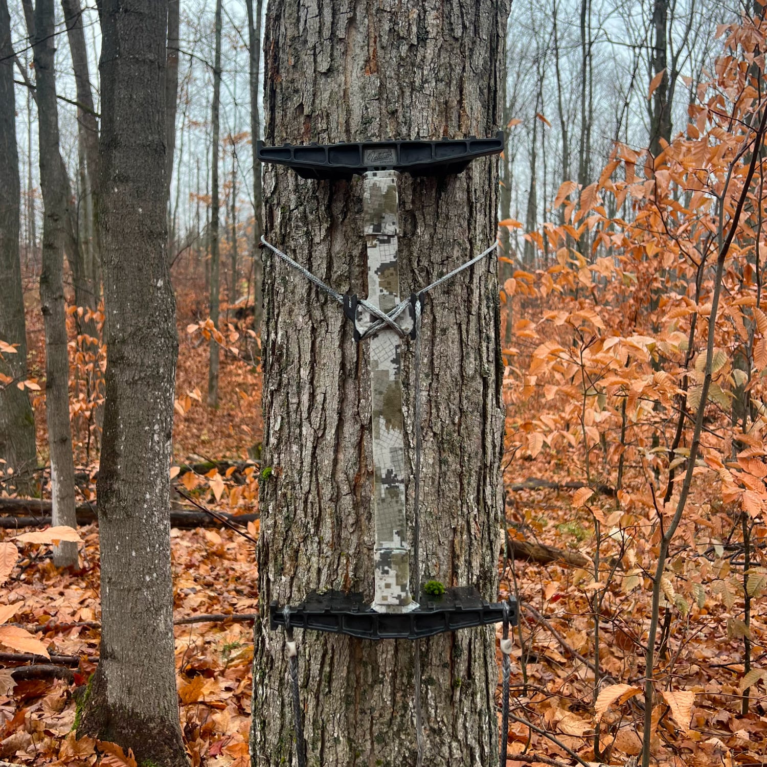 Carbon SS Climbing Stick Stealth Strip Kit