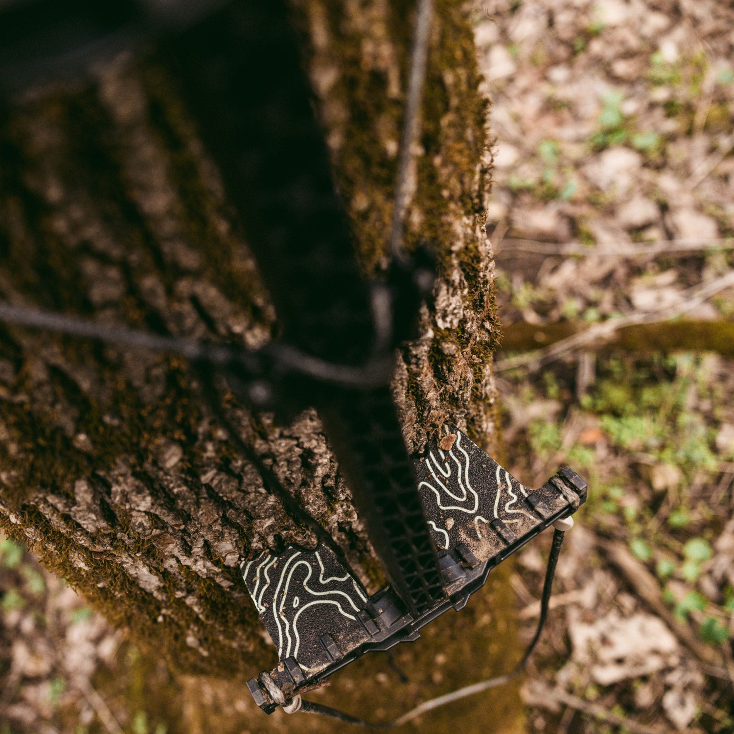 Carbon SS Illuminators