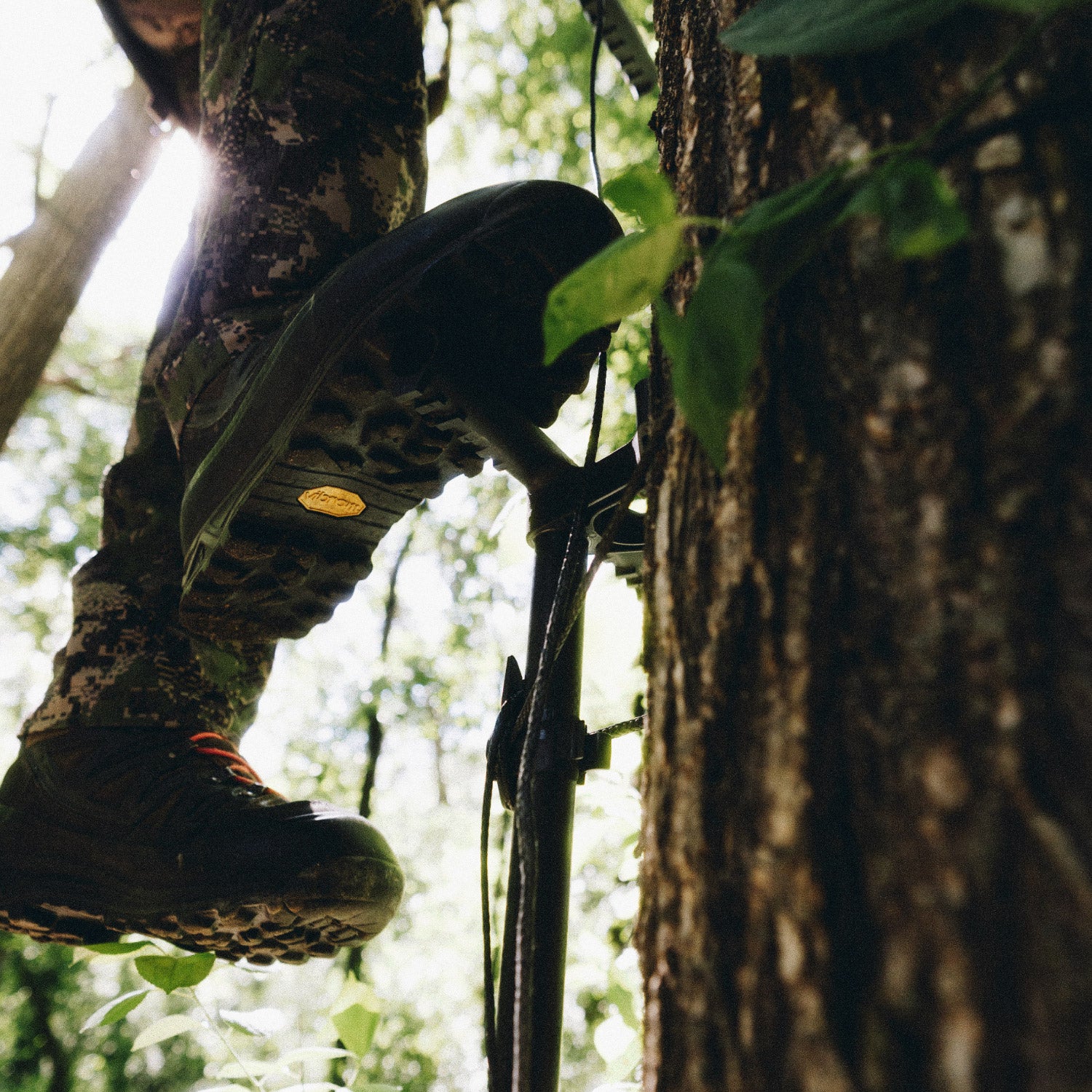 Carbon Synergy Climbing Sticks