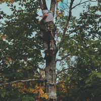 Carbon SS Climbing Sticks