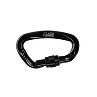 Latitude Oval Carabiner